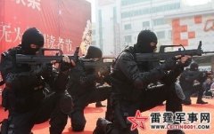 ����ʽͻ����ǹ